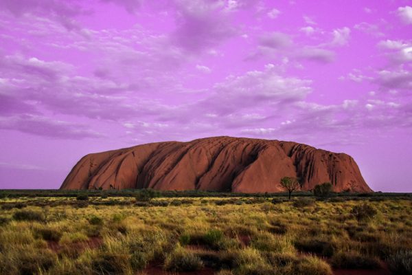 Uluru Purple