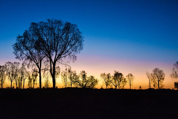 Uluru Sunrise
