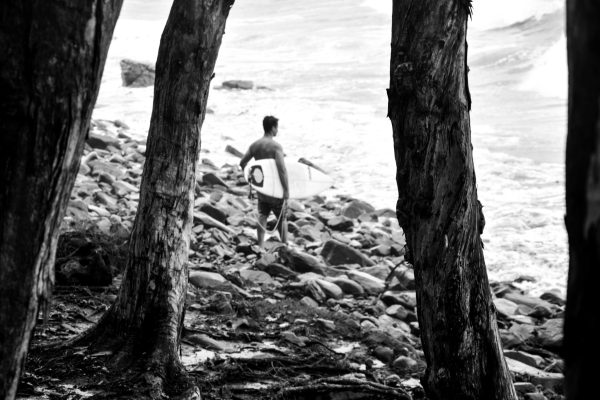 Noosa Surfers 3