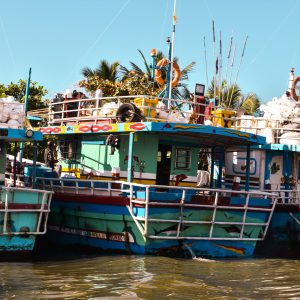 Sri Lanka - Rosie Photography-3