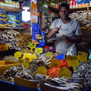 Sri Lanka - Rosie Photography-44