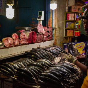 Sri Lanka - Rosie Photography-45