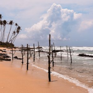 Sri Lanka - Rosie Photography-57